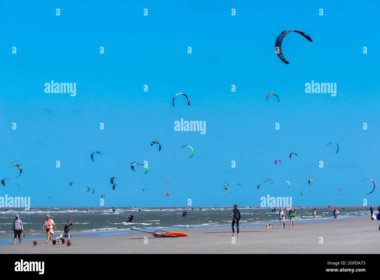 Kitesurf a St,-Peter-Ording, Mare del Nord, penisola Eiderstedt, Schleswig-Holstein, Germania Foto Stock