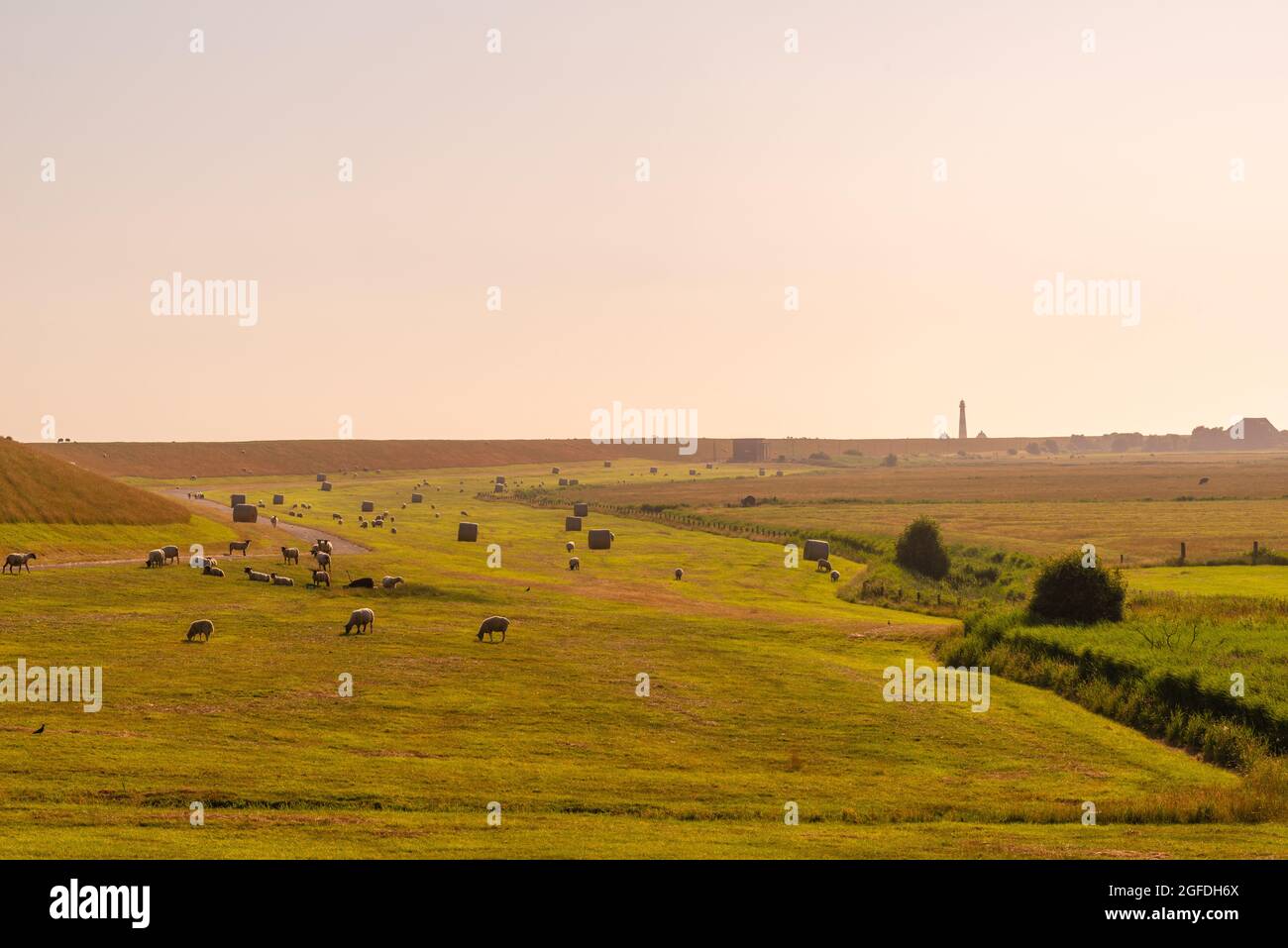 Paludi intorno a Westerhever con il faro Westerheversand, Mare del Nord, Frisia del Nord, Stato federale dello Schleswig-Holstein, Germania del Nord Foto Stock