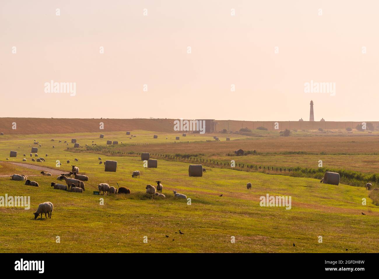 Paludi intorno a Westerhever con il faro Westerheversand, Mare del Nord, Frisia del Nord, Stato federale dello Schleswig-Holstein, Germania del Nord Foto Stock