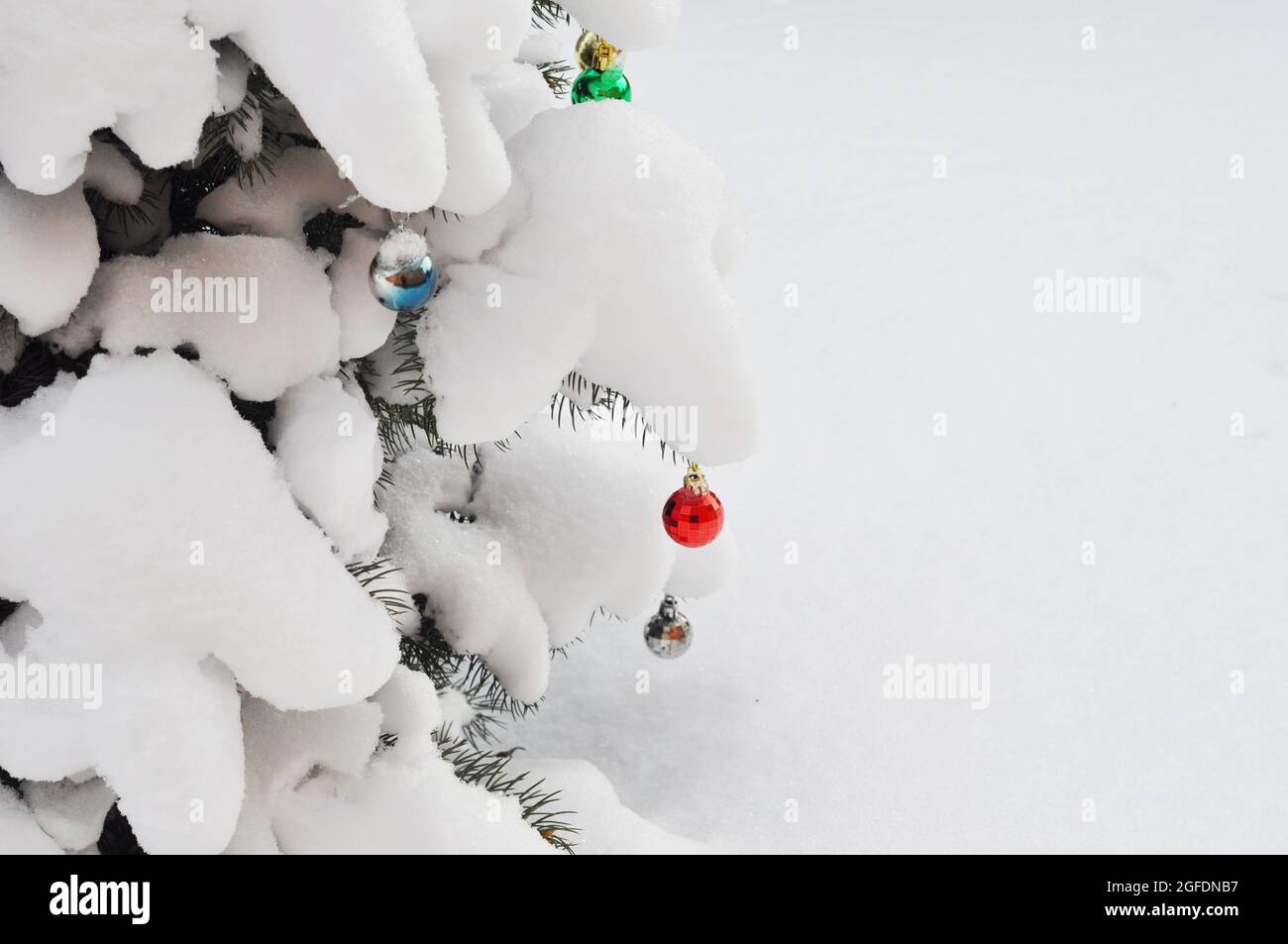 Un primo piano di un albero di Natale all'aperto con rami pesantemente ricoperti di neve e decorati con ornamenti blu, rosso e verde palla di Natale contro Foto Stock