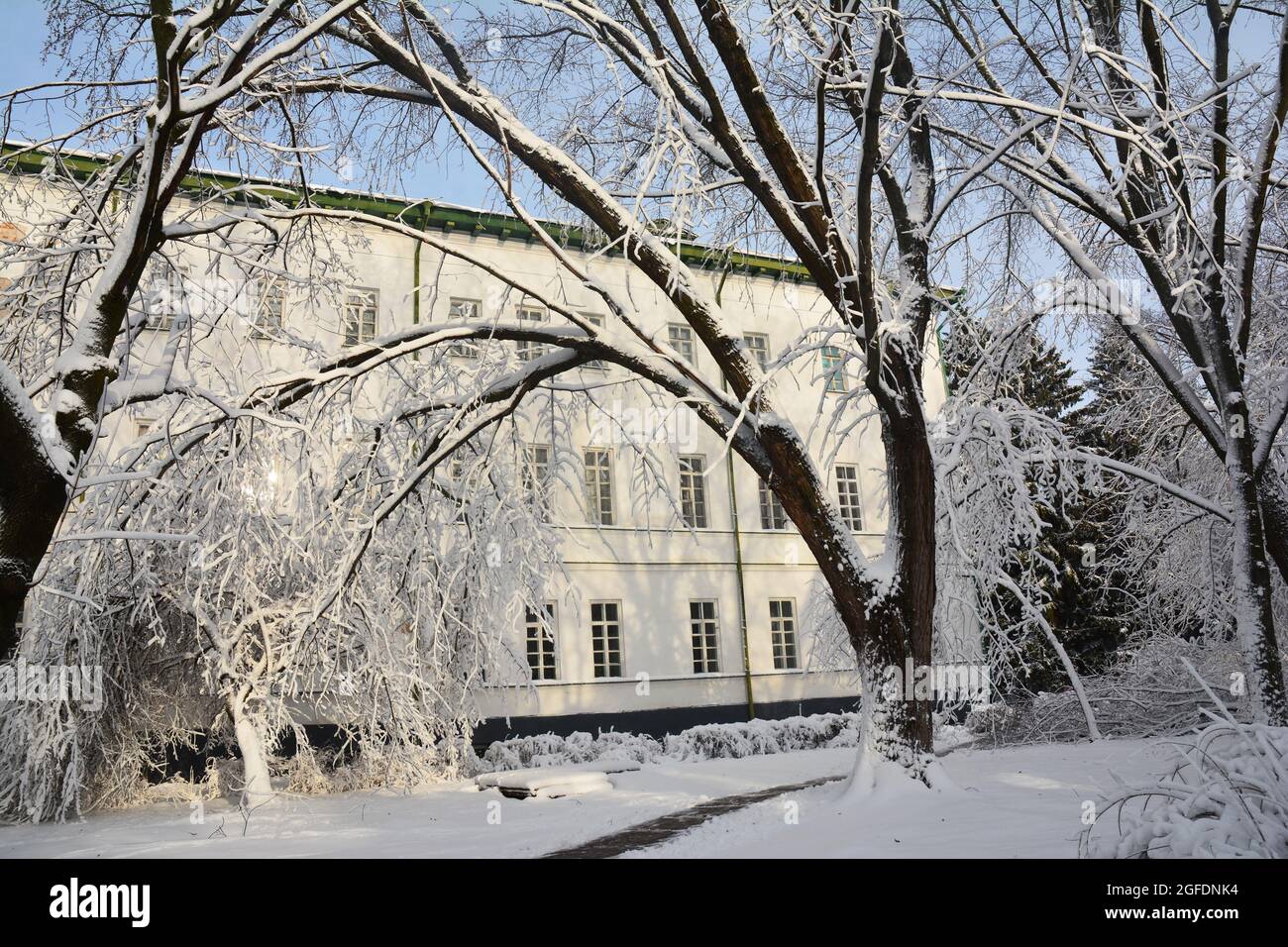 Una vista laterale della Nizhyn Gogol state University, edificio storico bianco attraverso alberi innevati d'inverno. Una passerella invernale per l'università di alma mater Foto Stock