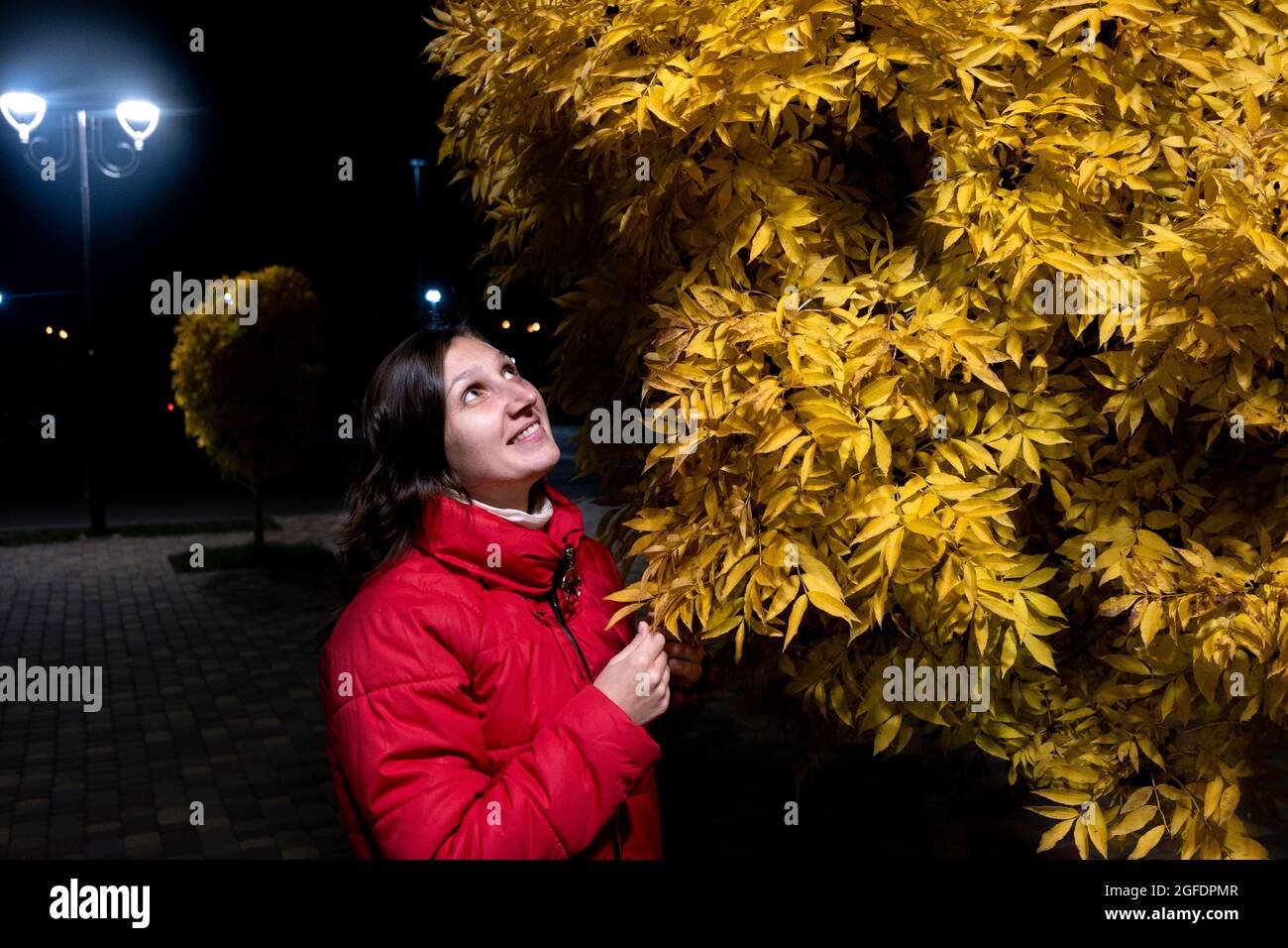 Giovane donna caucasica con capelli corti e giacca appariscente si pone sotto un albero giallo , Autunno Foto Stock