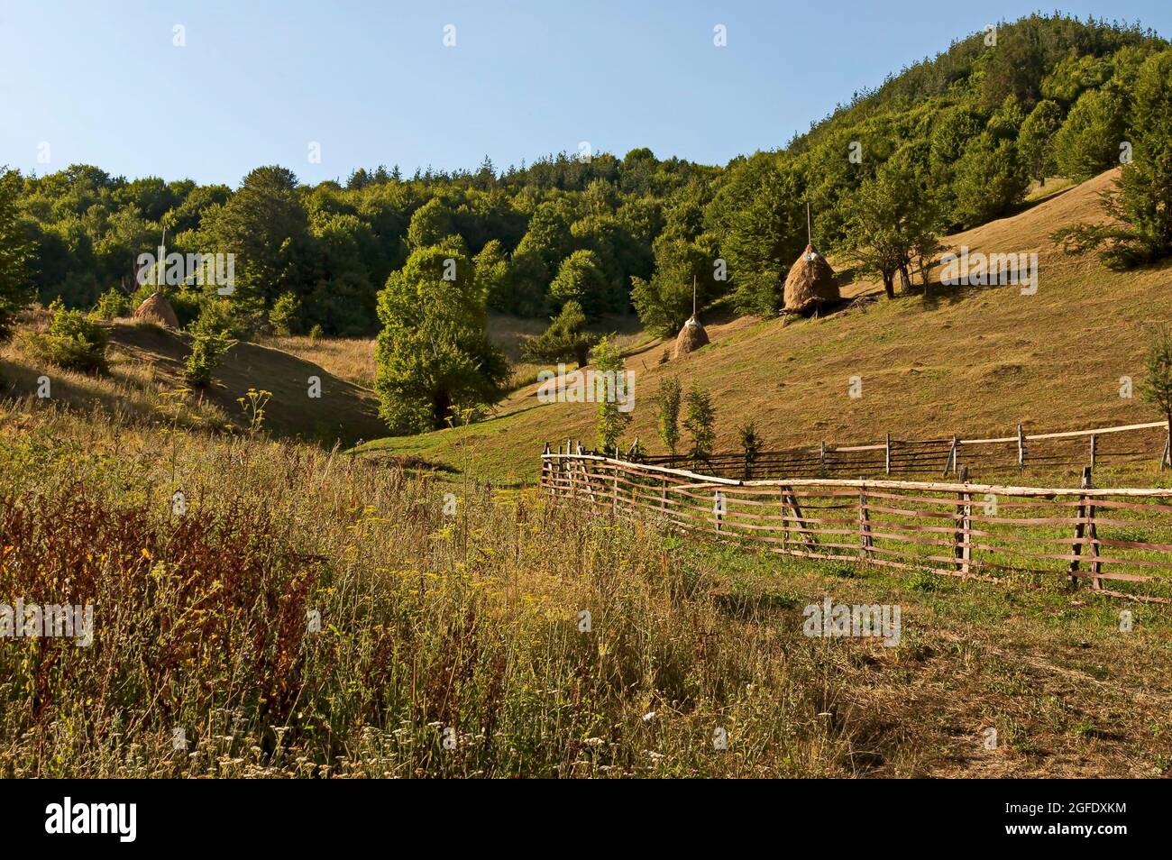 Vista di un pascolo di montagna con tradizionale hayrick per l'inverno, foresta e un orto vicino al villaggio di Vasilyovo, Bulgaria Foto Stock