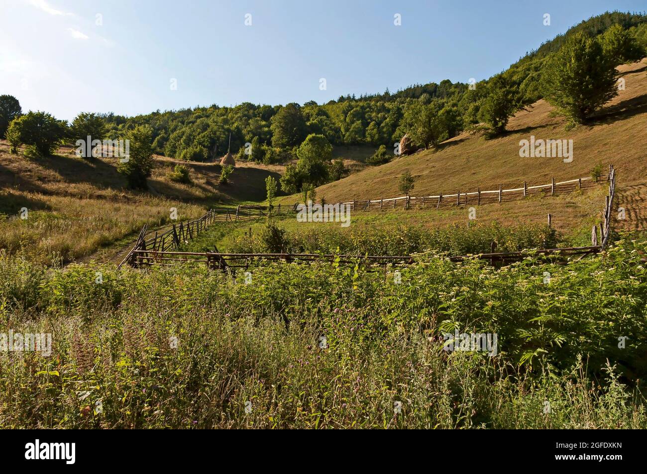 Vista di un pascolo di montagna con tradizionale hayrick per l'inverno, foresta e un orto vicino al villaggio di Vasilyovo, Bulgaria Foto Stock
