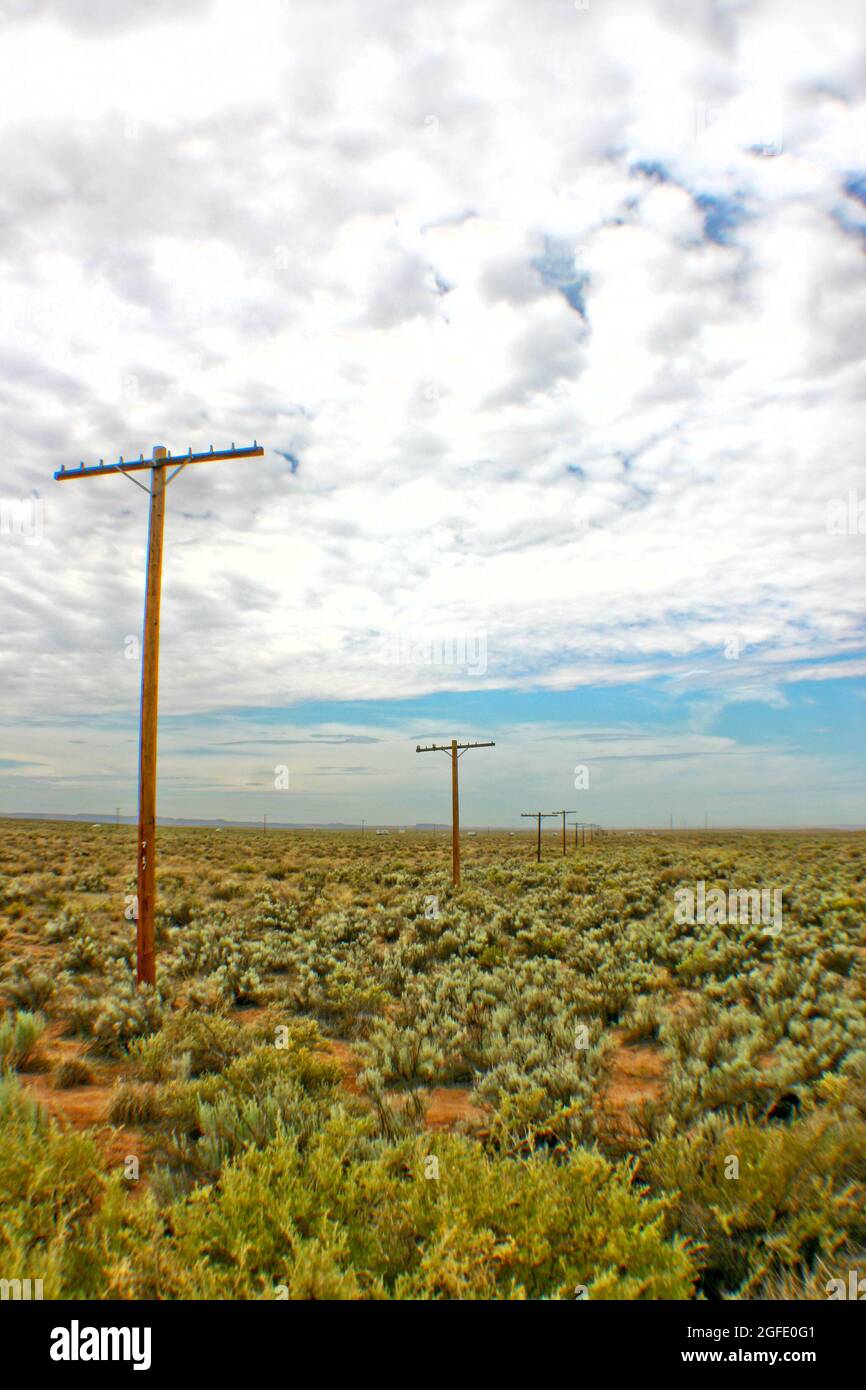 Colpo di profondità di pali e linee telefoniche che si estendono in distanza lungo un paesaggio di macchia verde pennello Foto Stock