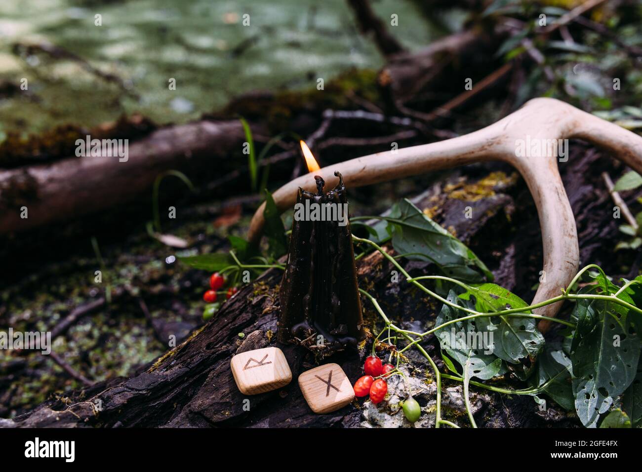 Concetto occulto, esoterico, divinazione e wicca. Halloween sfondo vintage Foto Stock