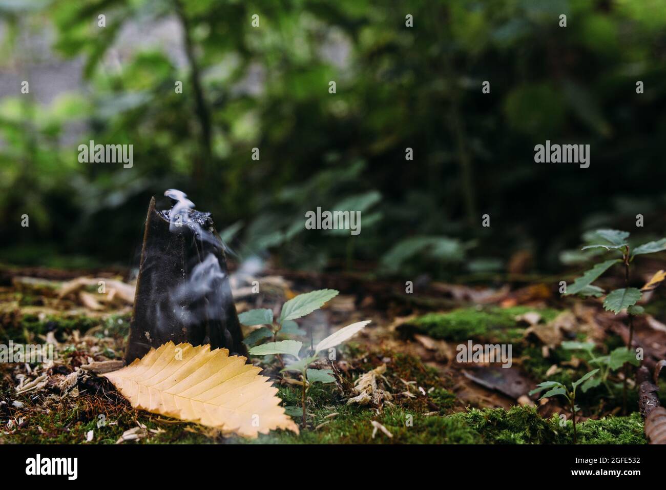 Concetto occulto, esoterico, divinazione e wicca. Halloween sfondo vintage Foto Stock
