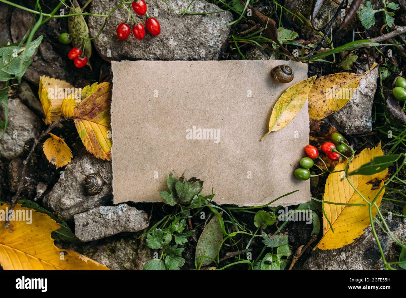 Modello di mockup di carta artigianale sullo sfondo della foresta magica autunno natura Foto Stock