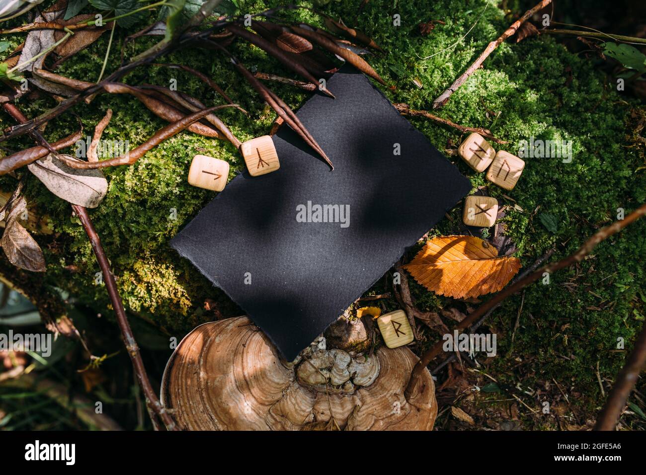 Modello di mockup nero di carta artigianale sullo sfondo della natura magica foresta Foto Stock