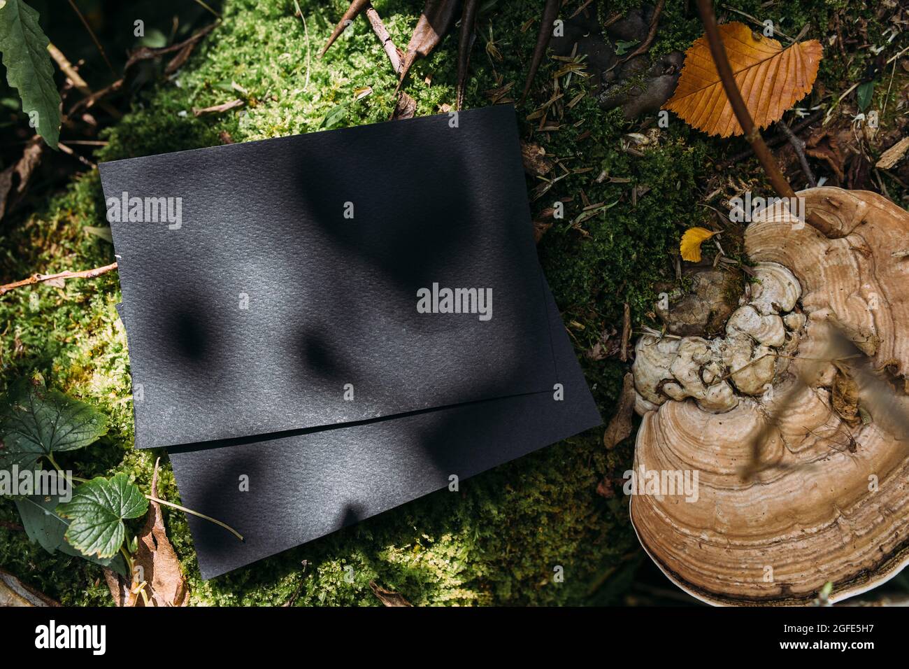 Modello di mockup nero di carta artigianale sullo sfondo della natura magica foresta Foto Stock