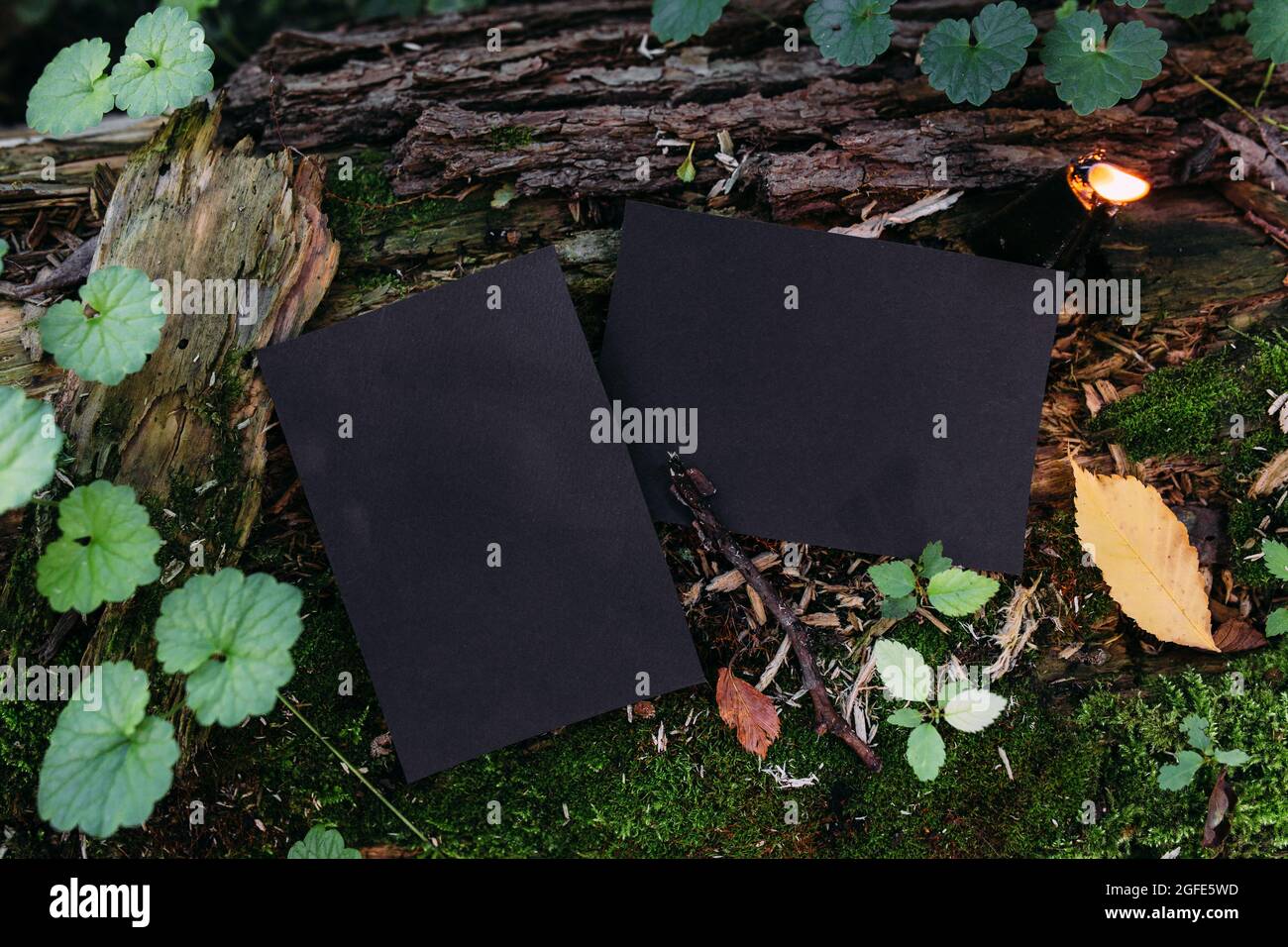 Mockup di carta artigianale nera, candela nera sullo sfondo della natura magica foresta Foto Stock