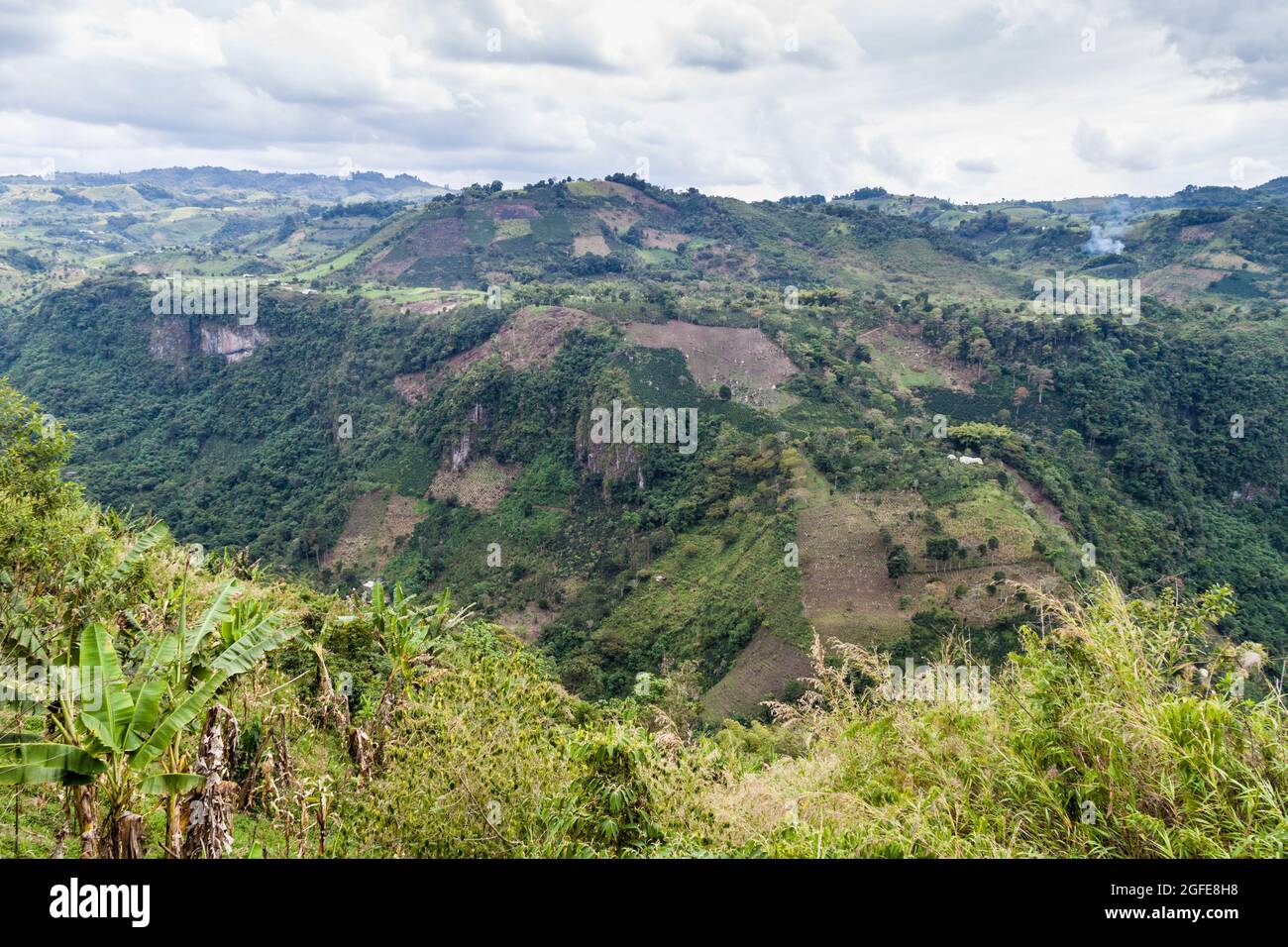 Valle del fiume Magdalena in Colombia Foto Stock