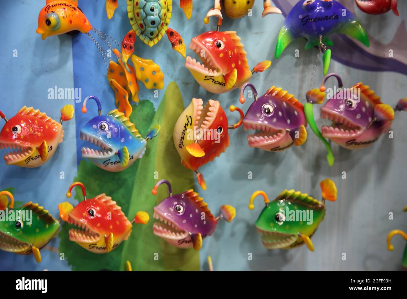 St Georges Grenada Esplanade Mall Frigo magneti pesce tropicale in negozio Foto Stock