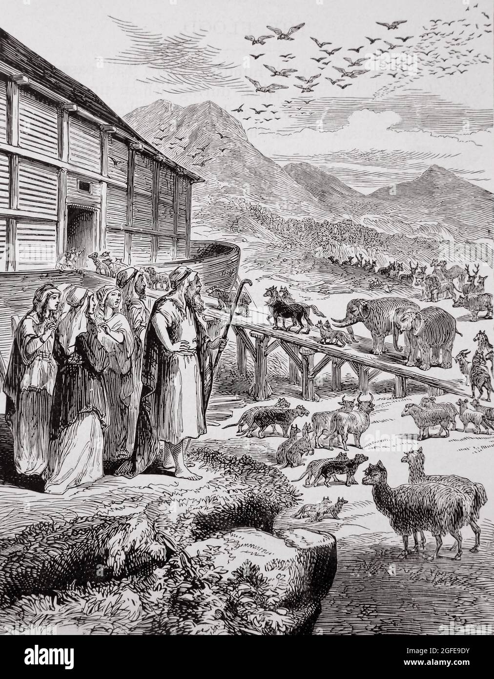 Illustrazione degli animali imbarco arco di Noè due a due dal Libro della Genesi Antico Testamento Foto Stock