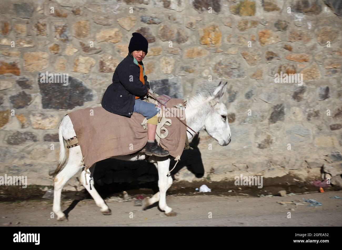 Un bambino afghano guida il suo asino attraverso una strada principale nella provincia di Panjshir, Afghanistan, 11 gennaio. Foto Stock