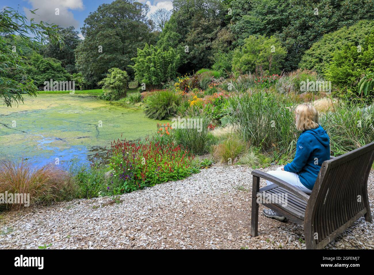 Bonython Estate Gardens, Garden, Helston, Cornovaglia, Inghilterra, REGNO UNITO Foto Stock