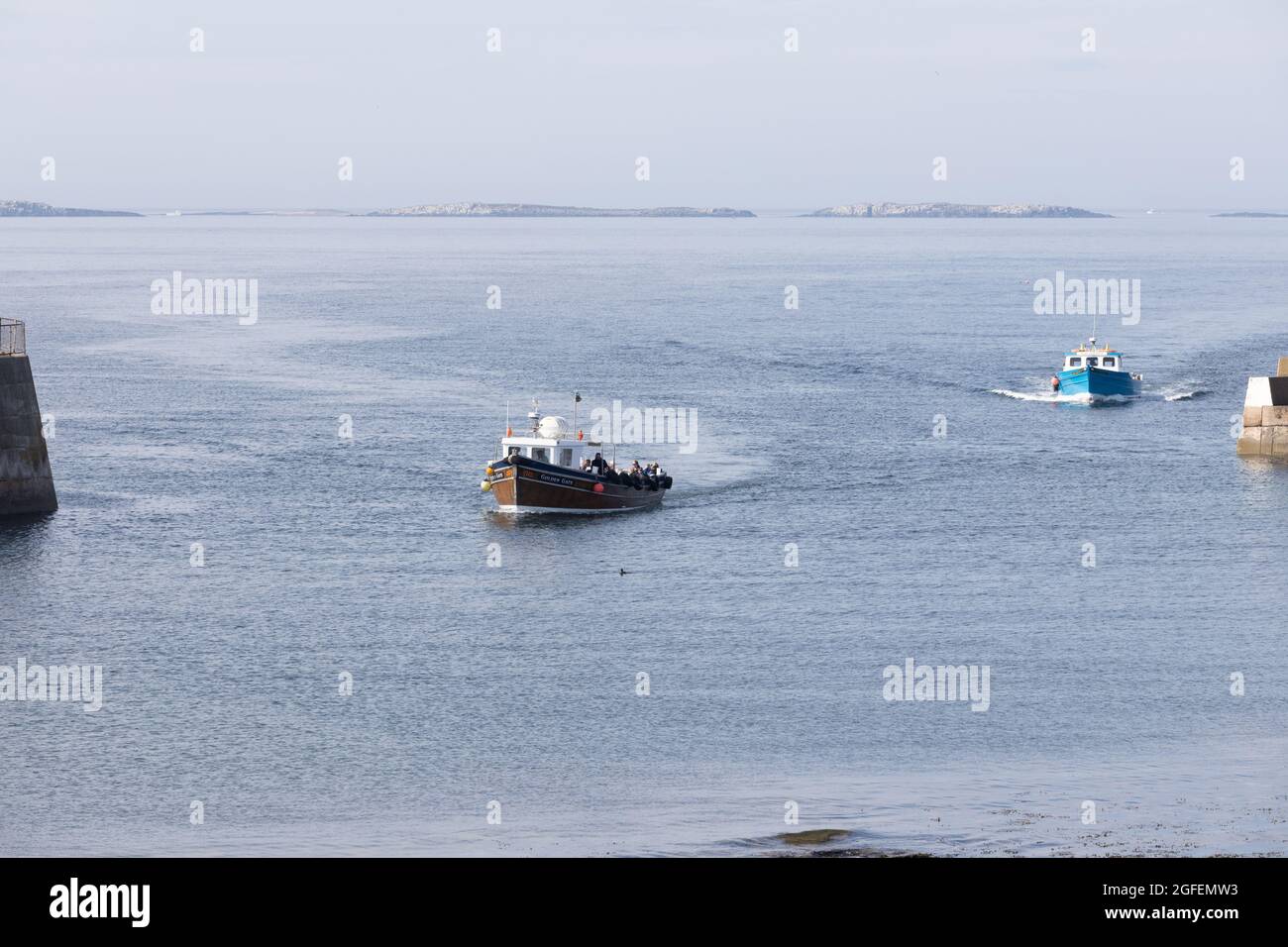 Due imbarcazioni per la gita in barca a Farne Island ritornano al porto Seahouses; al porto North Sunderland; al Northumberland; all'Inghilterra. Foto Stock