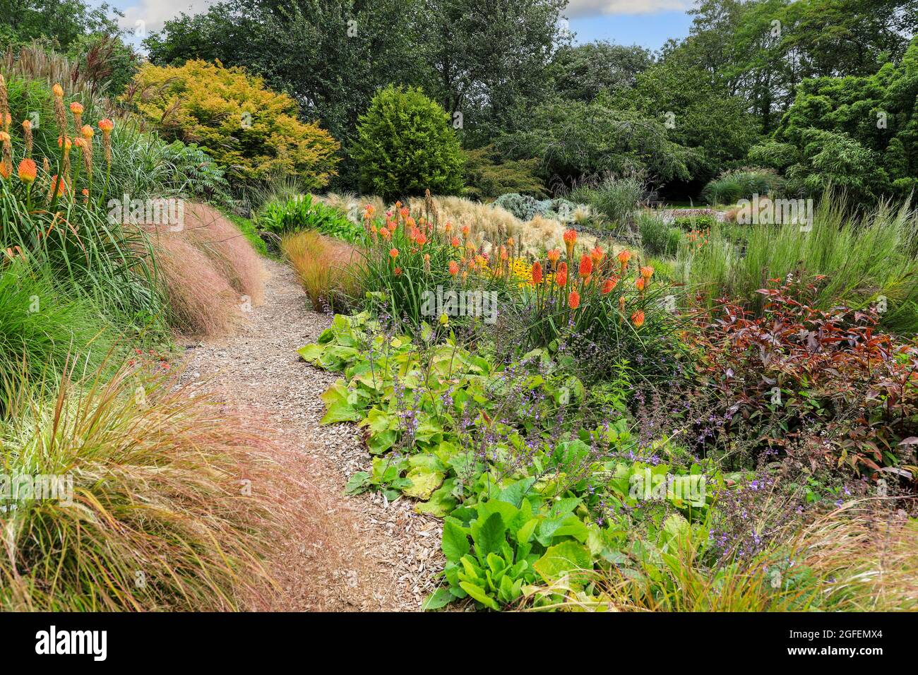 Bonython Estate Gardens, Garden, Helston, Cornovaglia, Inghilterra, REGNO UNITO Foto Stock