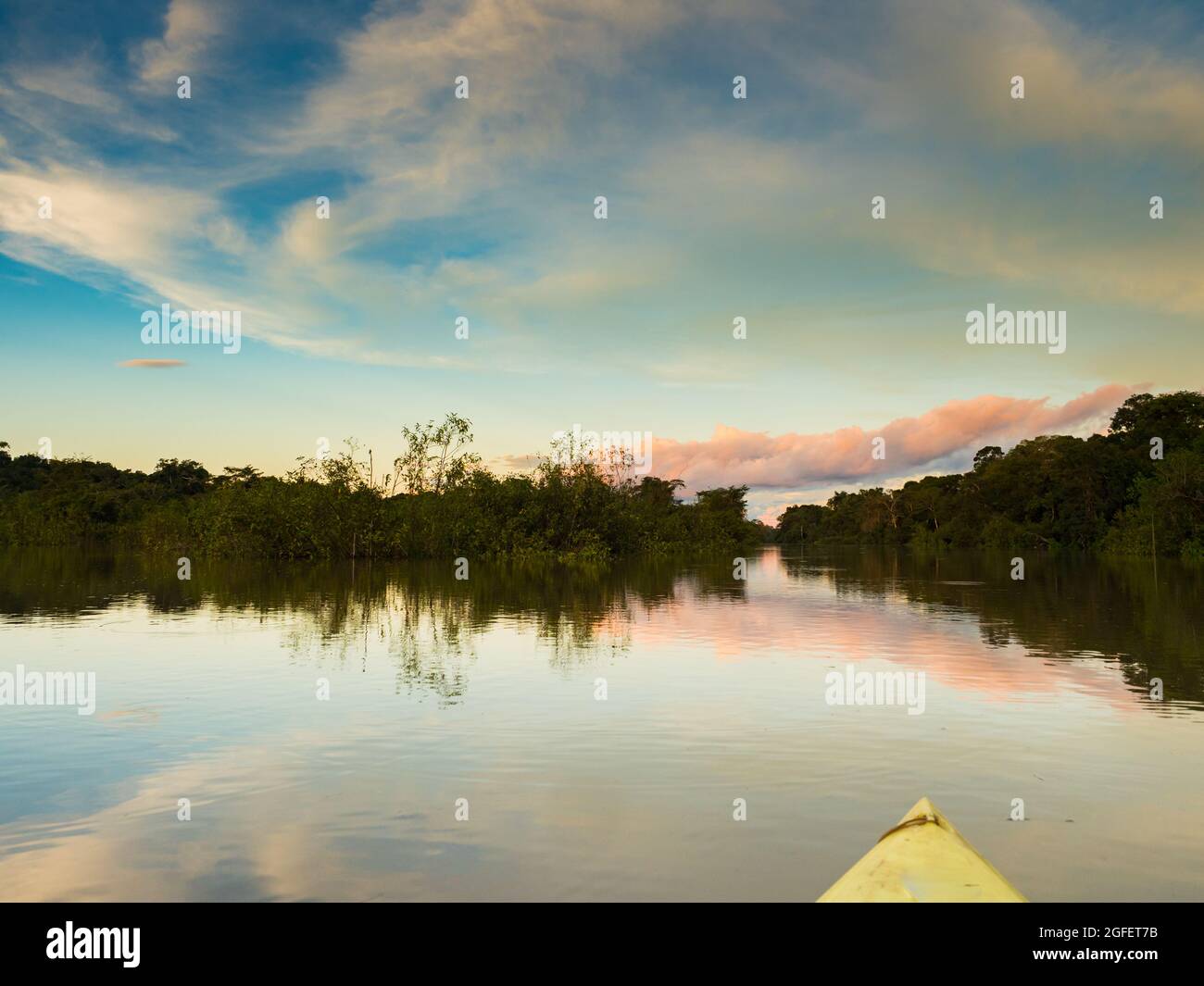 Amazonia. Vista tramonto visto dal kayak. Coati laguna vicino il fiume Javari, tributario del fiume Rio delle Amazzoni. Selva sul confine del Brasile e pe Foto Stock