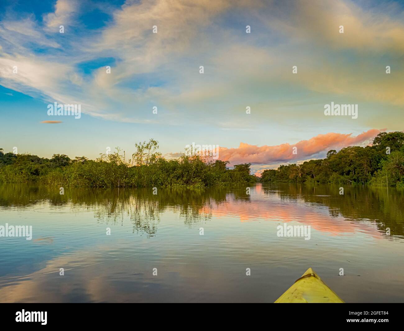 Amazonia. Vista tramonto visto dal kayak. Coati laguna vicino il fiume Javari, tributario del fiume Rio delle Amazzoni. Selva sul confine del Brasile e pe Foto Stock
