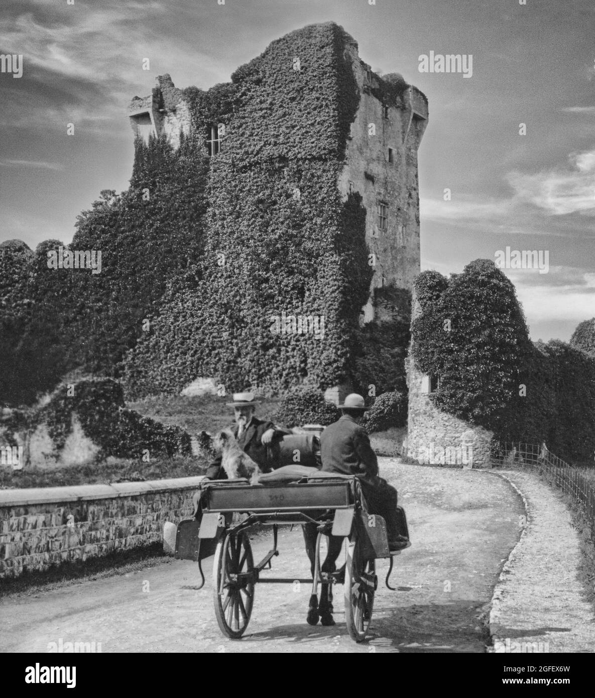 Una vista dei primi del 20 ° secolo di un'auto jaunting con i turisti che si avvicinano Ross Castello, un poi rovinato e cresciuto 15 ° secolo torre casa e mantenere sul bordo di Lough Leane, nel Killarney National Park, County Kerry, Irlanda. Foto Stock