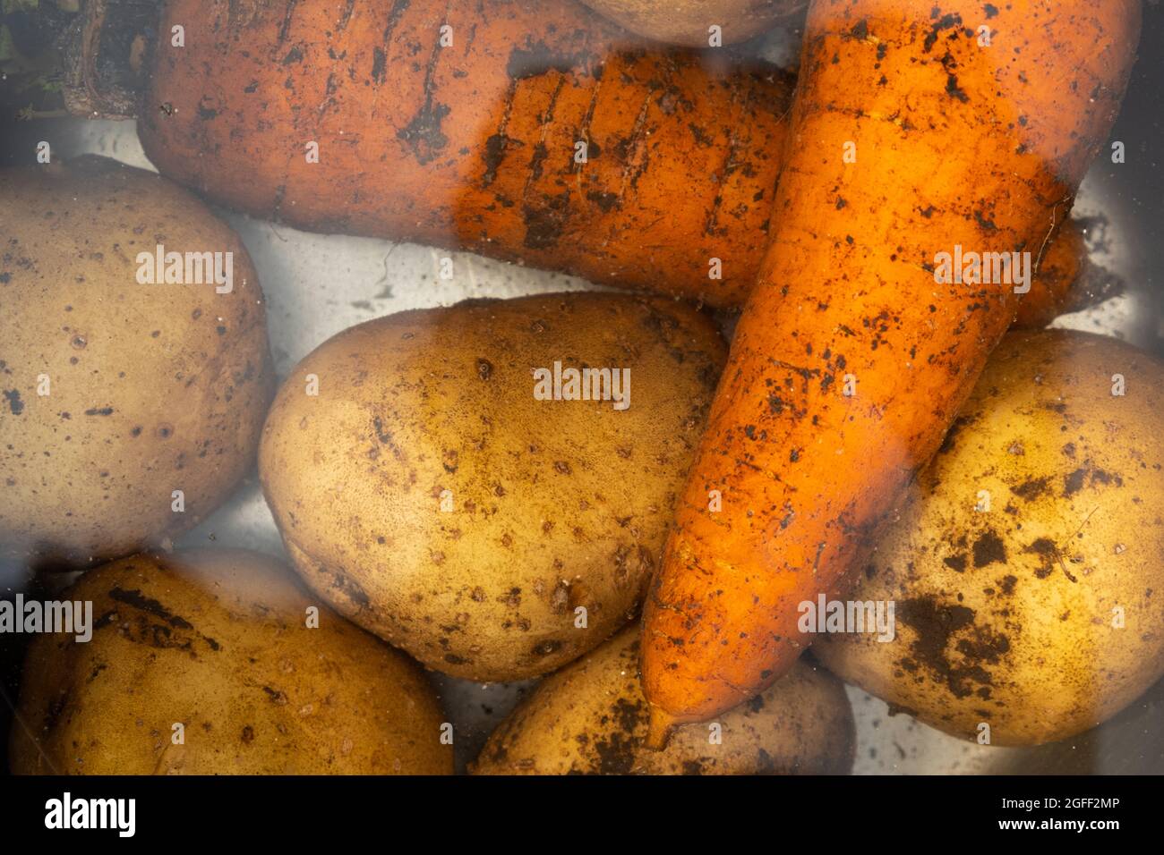 zuppa di verdure, carote fresche crude e patate in acqua. Foto Stock