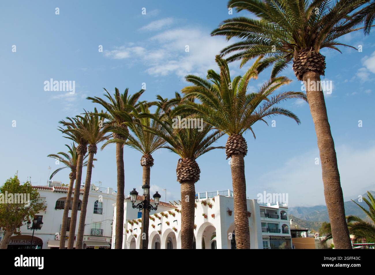 Balcone d'Europa con Palme e Porches, Nerja, Costa del Sol, Provincia di Malaga, Andalusia, Spagna Foto Stock