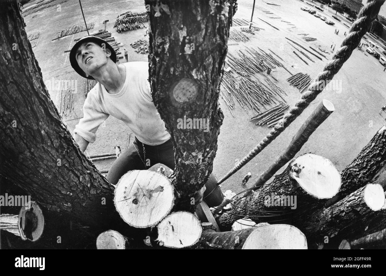 College Station Texas, 1977: Studente presso la Texas A&M University lavora alla costruzione dell'Aggie Bonfire, un'enorme torre di tronchi illuminata prima della partita di calcio rivalata con il Texas ogni anno. ©Bob Daemmrich Foto Stock