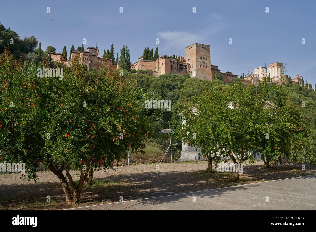 Vista dell'Alhambra a Granada in Spagna Foto Stock