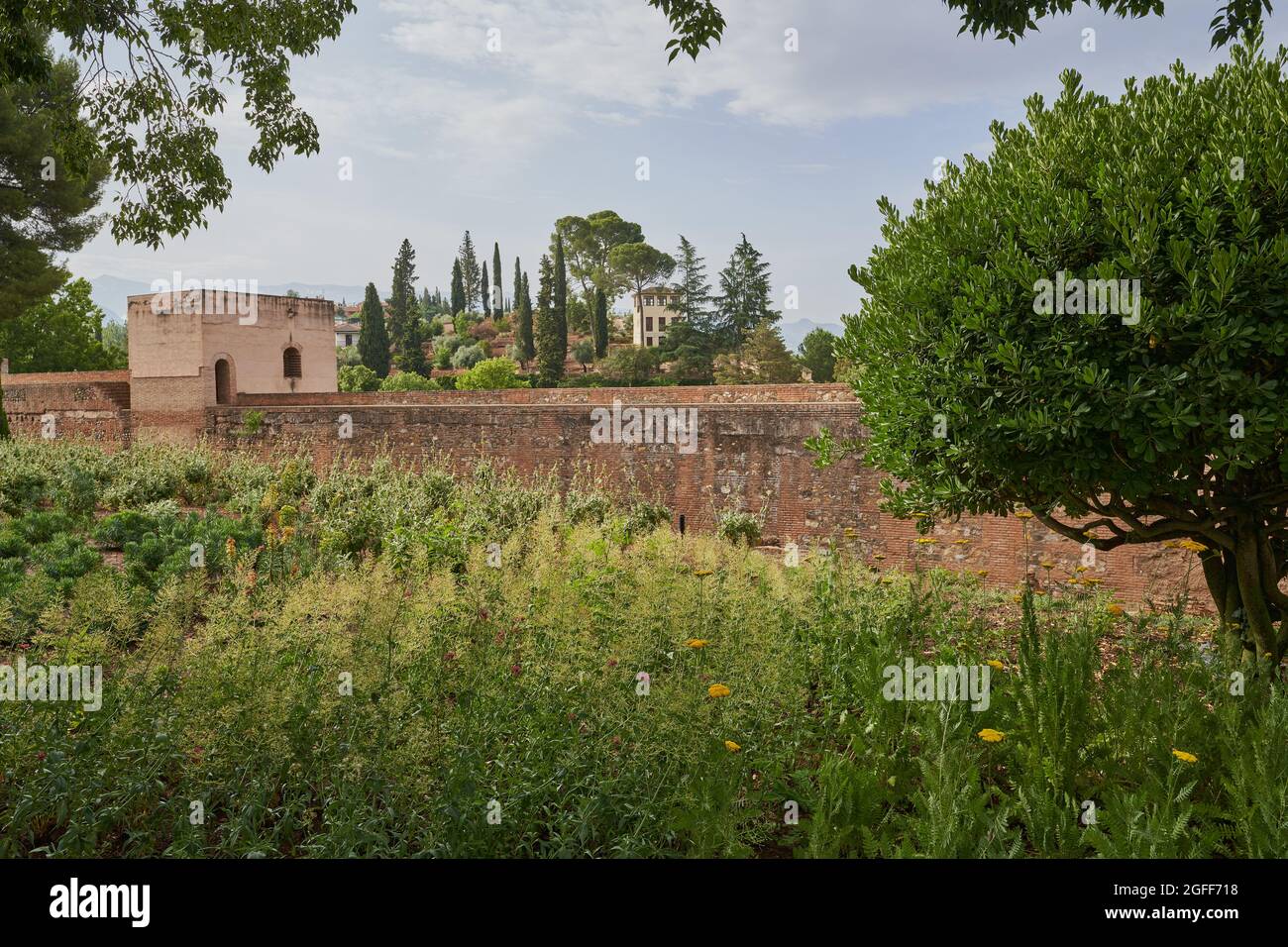 Vista dell'Alhambra a Granada in Spagna Foto Stock
