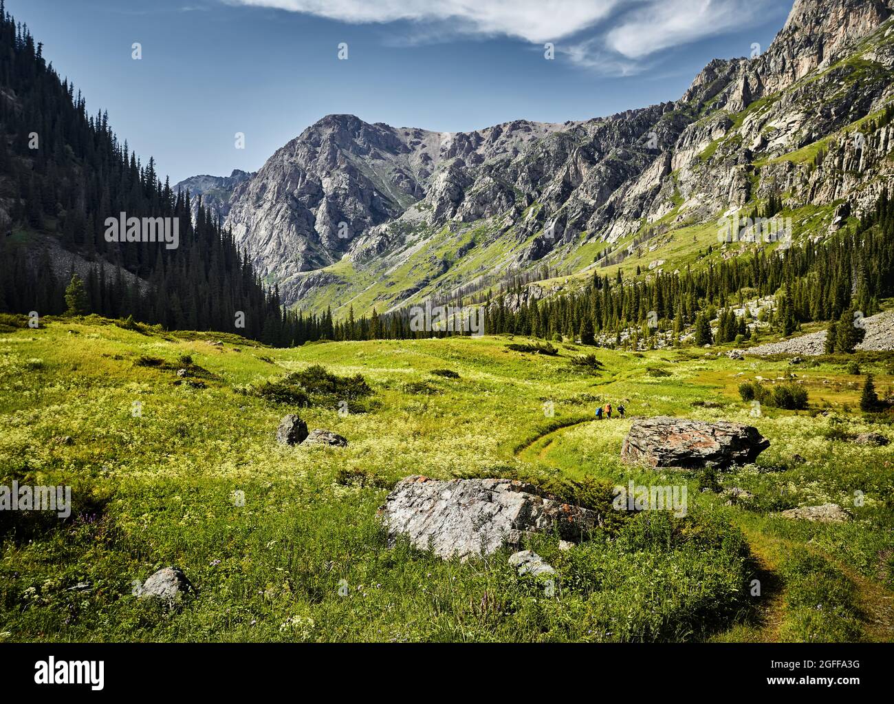Splendido scenario della valle di montagna e verde foresta lussureggiante con piccolo turista in Kazakistan Foto Stock