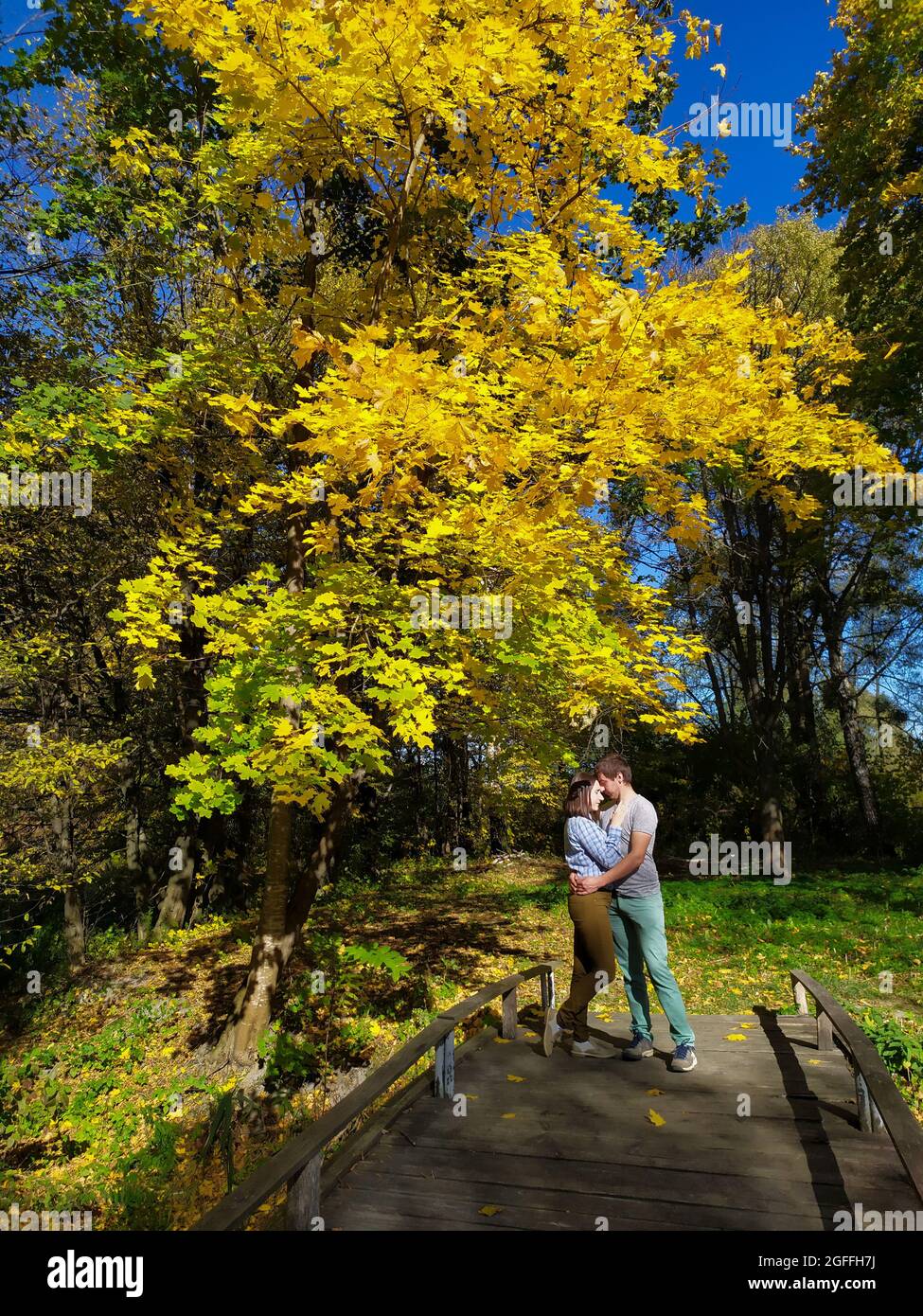 Coppia abbraccia su un piccolo ponte di legno nel parco autunnale vicino al grande albero. Foto Stock