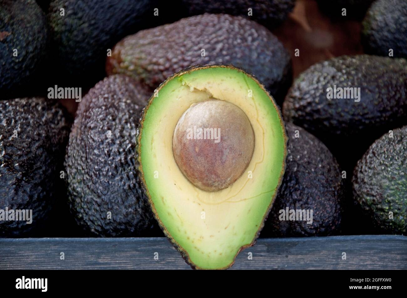 Avocado, mercato, Nerja, Provincia di Malaga, Andalusia, Spagna Foto Stock