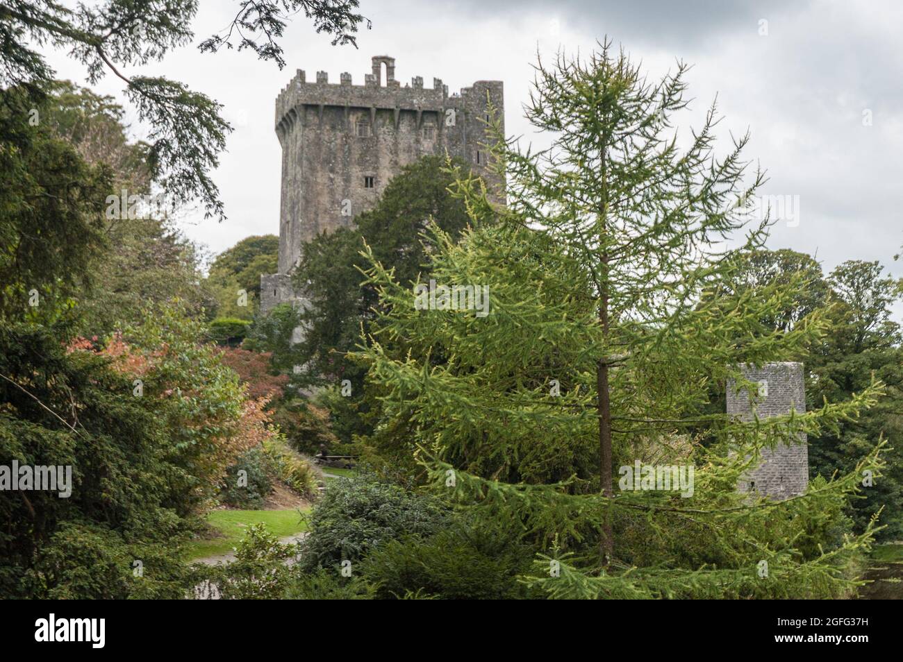 Il castello di Blarney, con i suoi giardini, è un'attrazione popolare nei pressi di Cork Foto Stock