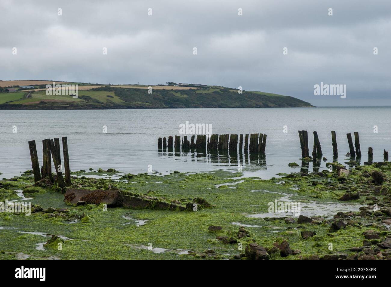 Resti di un molo marcio vicino Kinsale, County Cork, Irlanda Foto Stock