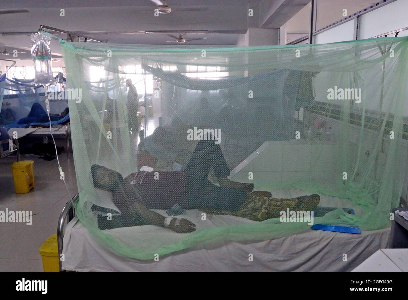 Non esclusiva: DHAKA, BANGLADESH - AGOSTO 25: Un paziente infetto da febbre Dengue, è trattato in una zona speciale per brevetti con malattia di dengue trans Foto Stock