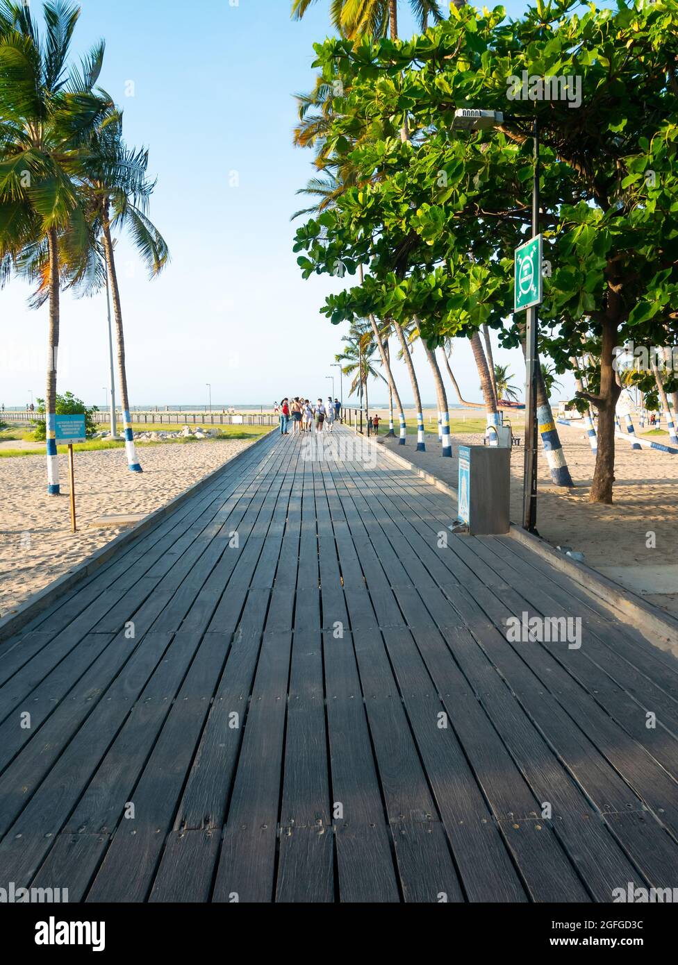 Una strada di legno per la spiaggia con un sacco di palme intorno a Riohacha, la Guajira, Colombia Foto Stock