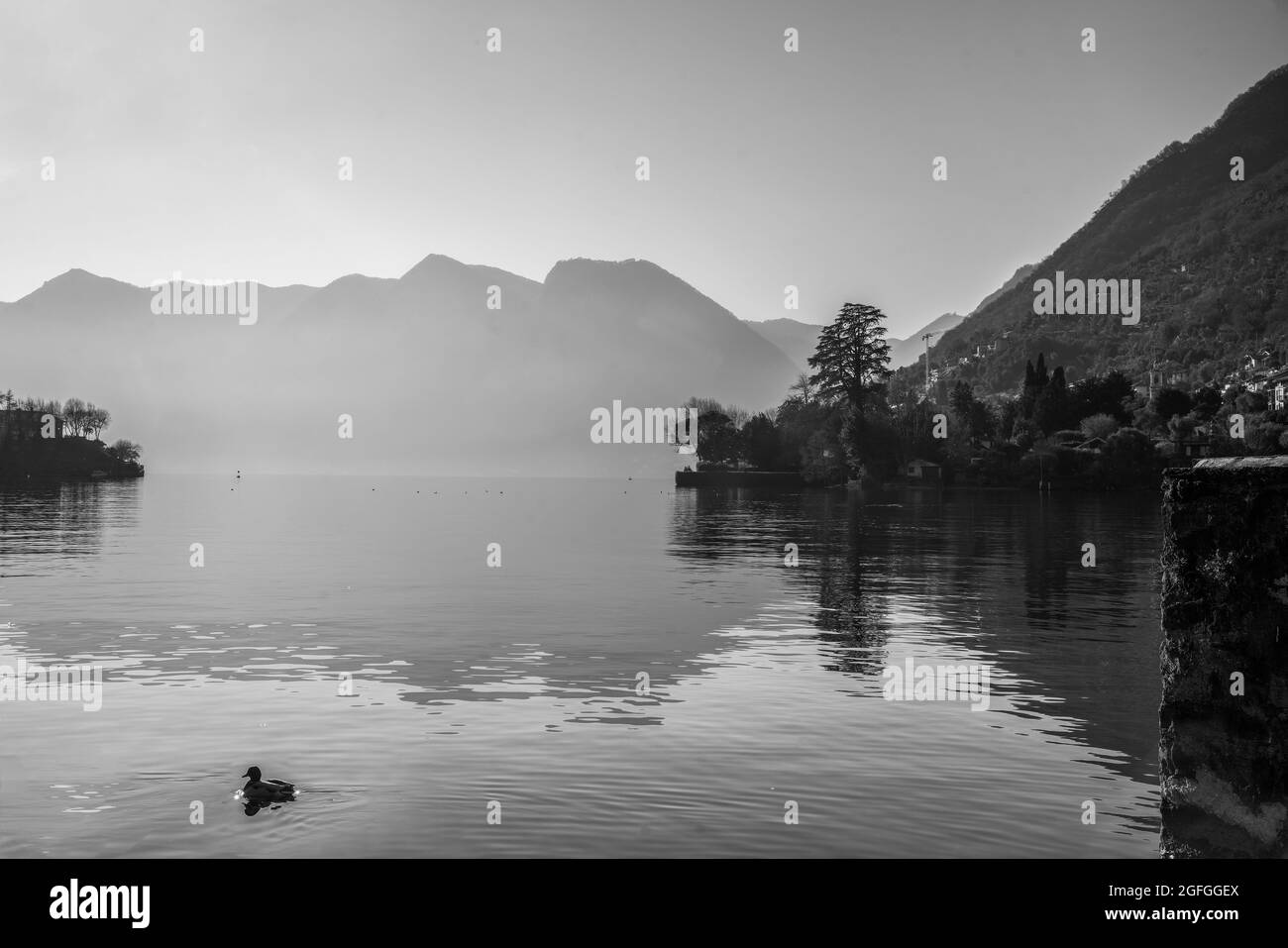Panorama brillante sul lago di Como in giornata di sole in inverno r . Nuoto anatra. Nella parte destra - case e chiesa sulla costa in alcuni villaggi. Stilizzato in b Foto Stock