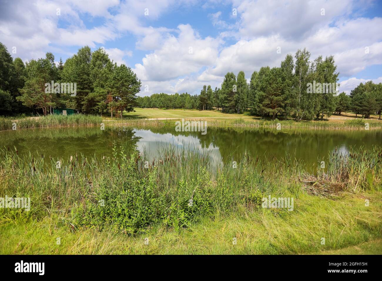 Lago circondato dal verde sul territorio del golf club. Serbatoio artificiale. Foto Stock
