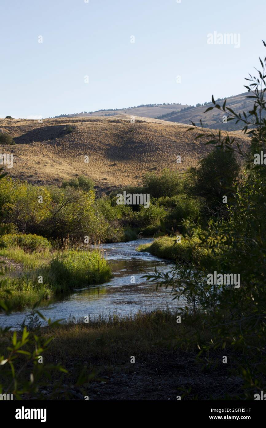 Grasshopper Creek presso il Bannack state Park, MT. Foto Stock