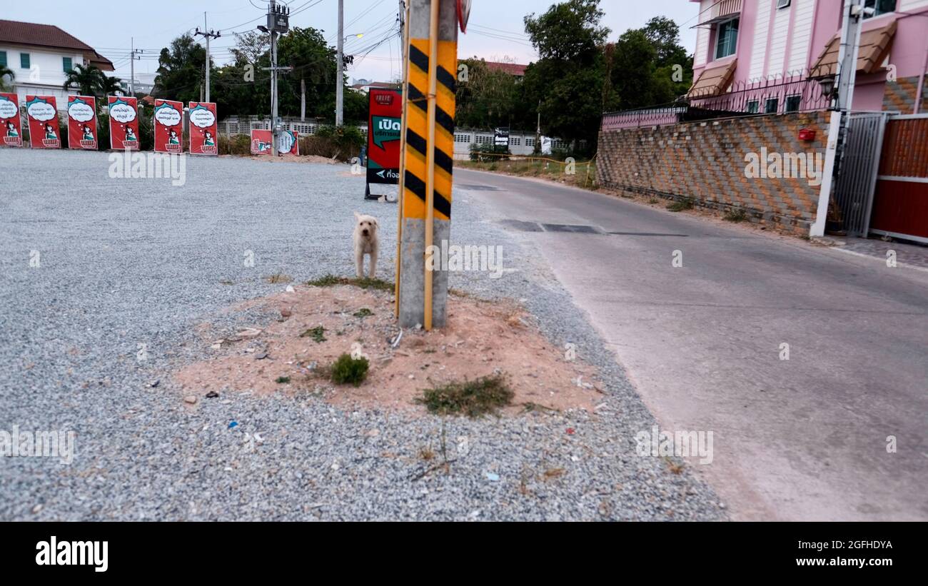 Unseen Back Roads Rurale Nord Centrale Pattaya Thailandia Foto Stock