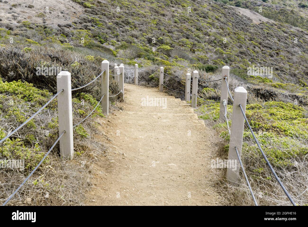 Sentiero che si snoda in discesa a Milagra Ridge. San Mateo County, California, USA. Foto Stock