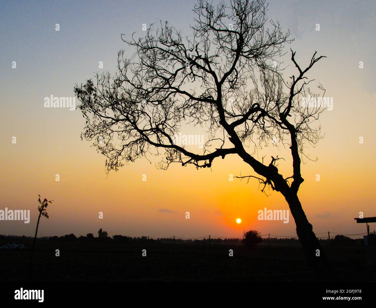 Silhouette di un acro al tramonto Foto Stock