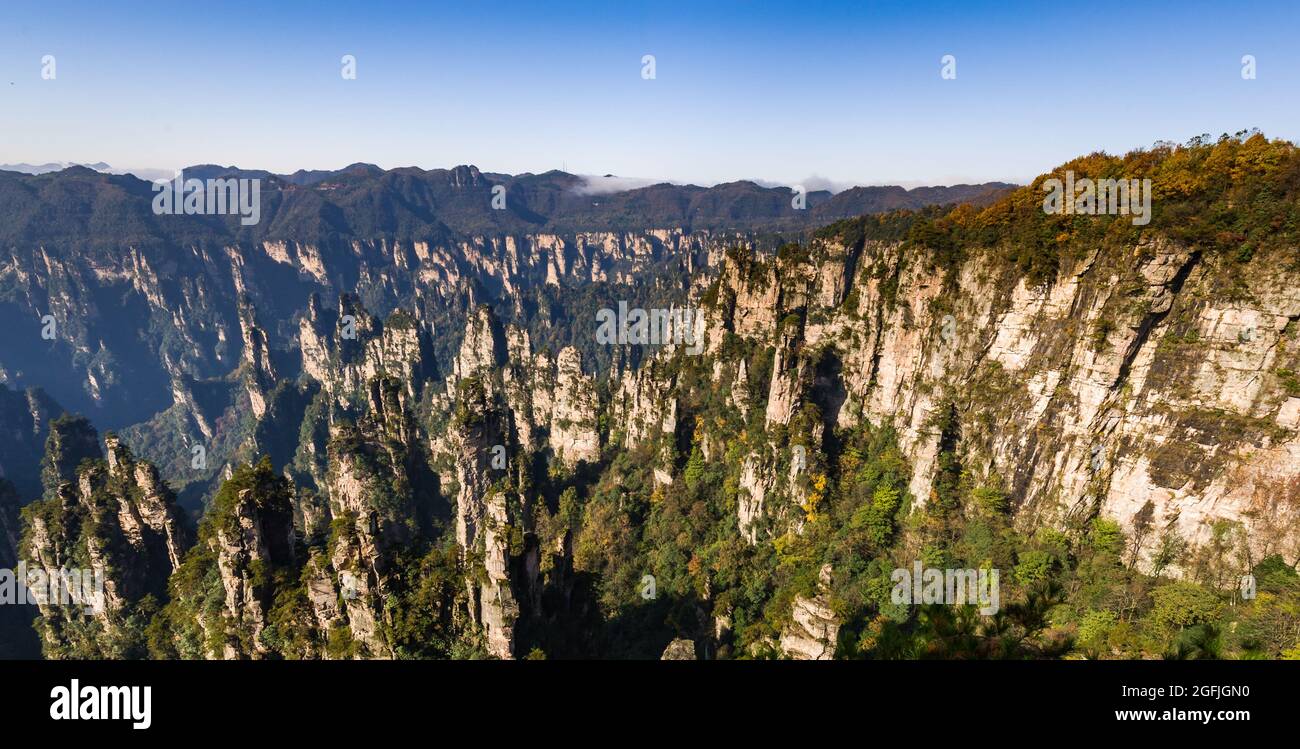 Splendida vista sulle montagne di formazioni geologiche uniche nel sito patrimonio dell'umanità Zhang Jia Jie, Hunan, Cina. Foto Stock
