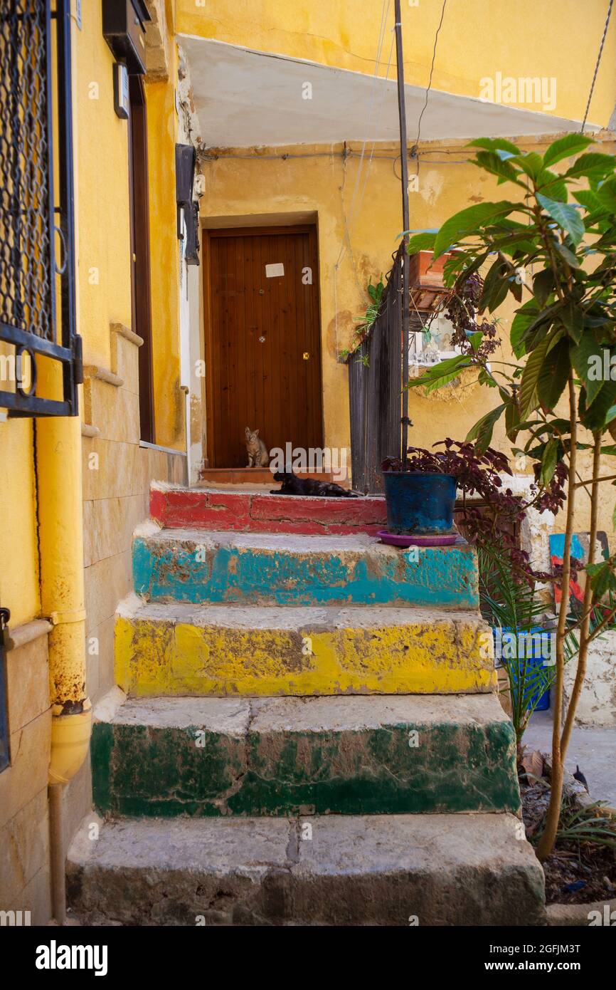 Gatti giovani sulla colorata scala in Sicilia Foto Stock