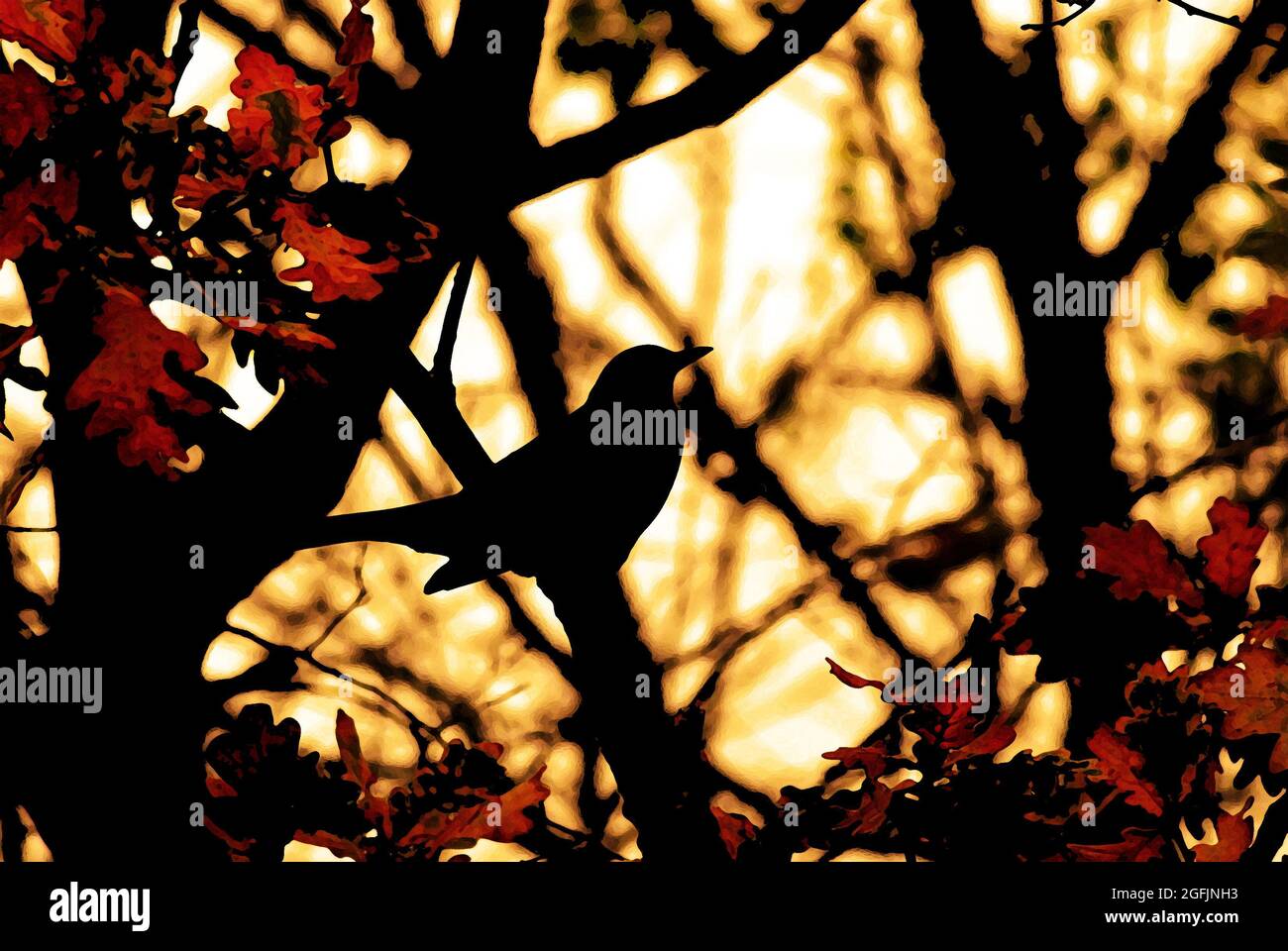 Drammatica opera d'arte digitale multimediale, un uccello nero in ombra che si aggirano in un albero di quercia con foglie rosse/arancioni/foglie d'autunno in primo piano, sole dietro Foto Stock