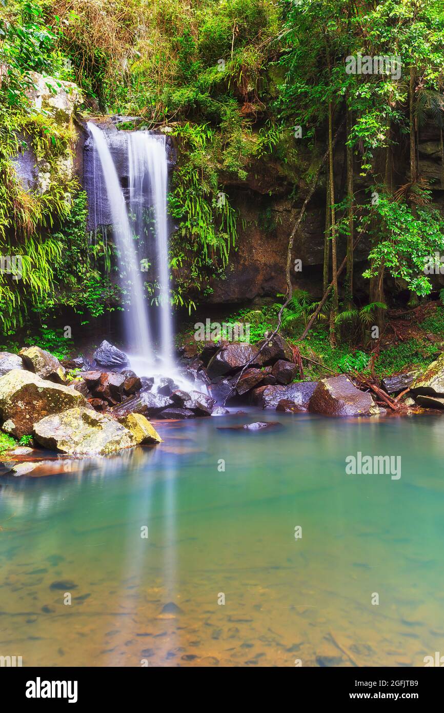 Scenografica cascata Tamborine sul Monte Tamborine nella foresta pluviale del Queensland in Australia. Foto Stock