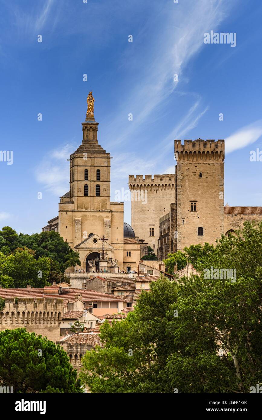 Cattedrale di Avignone e Palais des Papes. Paesaggio urbano storico in Francia. Foto Stock