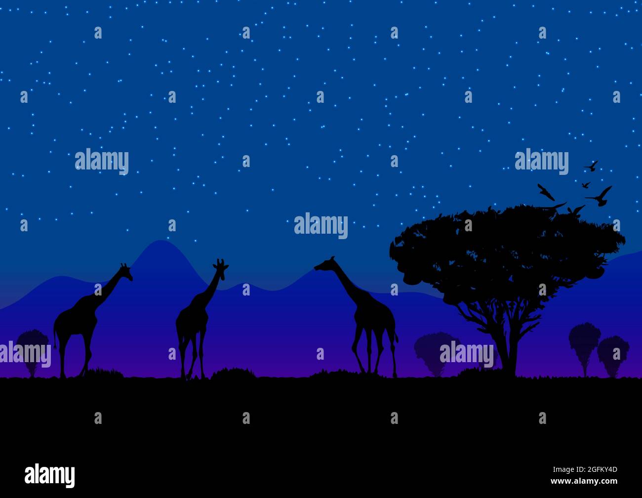 giraffe stan sull'erba nella foresta con sfondo luna di notte grafica disegno vettoriale illustrazione Illustrazione Vettoriale