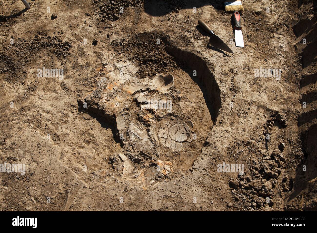 Scavi archeologici, archeologi lavorano, scavare un antico manufatto di argilla con attrezzi speciali nel terreno Foto Stock